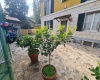 Ancona Aspio-Candia via 1 maggio, 112, 4 Camere Camere, ,3 BagniBagni,Villa,In Vendita,via 1 maggio,1087