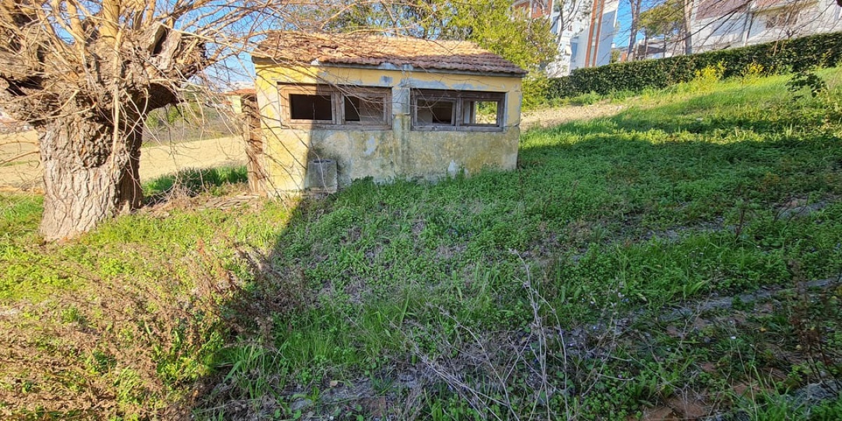 Ancona Pinocchio-Posatora MAGGINI, 3 Camere Camere, ,2 BagniBagni,Rustico/Casale,In Vendita,MAGGINI,1093