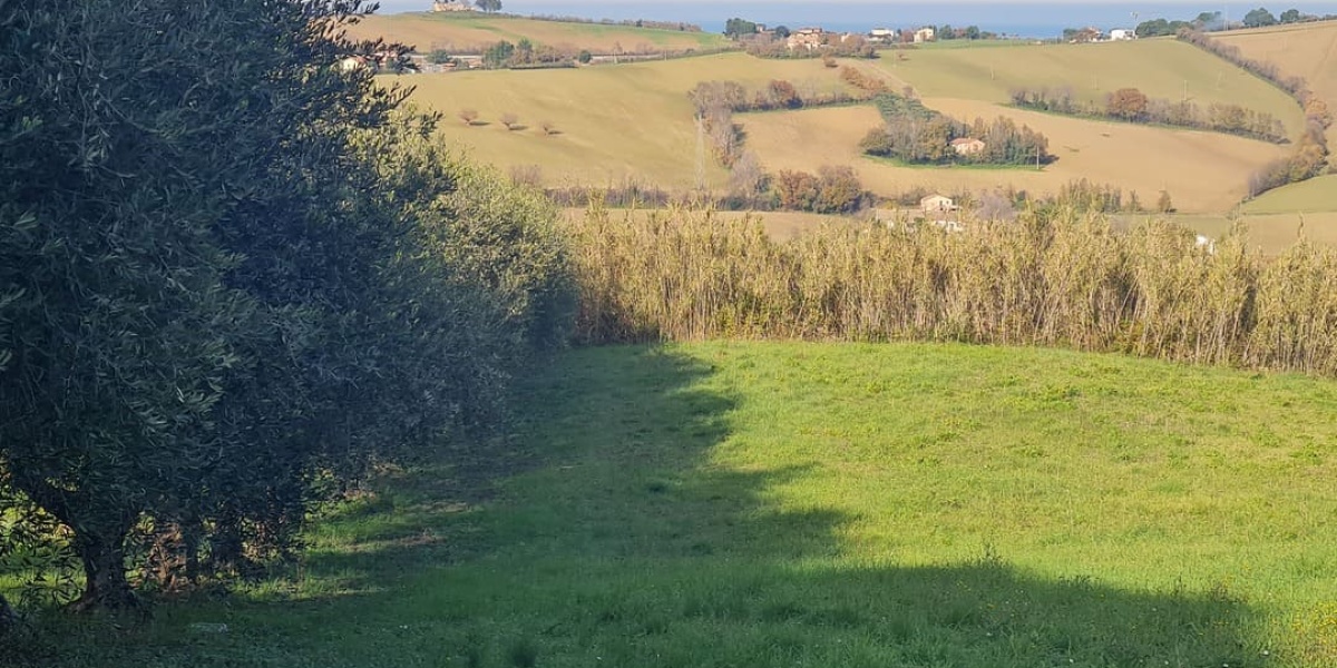 Ancona Campagna Monteferro, 84c, 4 Camere Camere, ,3 BagniBagni,Villa,In Vendita,Monteferro,1096