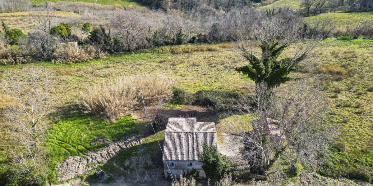 Ancona Campagna Montegalluzzo, 240, 3 Camere Camere, ,1 BagnoBagni,Rustico/Casale,In Vendita,Montegalluzzo,1104