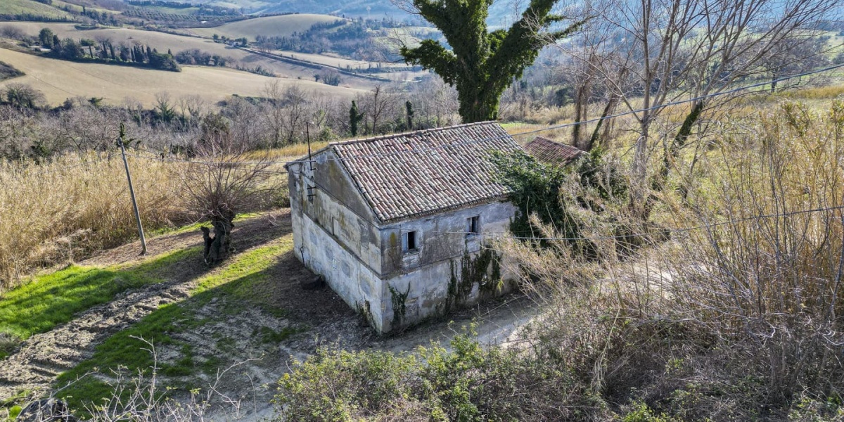 Ancona Campagna Montegalluzzo, 240, 3 Camere Camere, ,1 BagnoBagni,Rustico/Casale,In Vendita,Montegalluzzo,1104