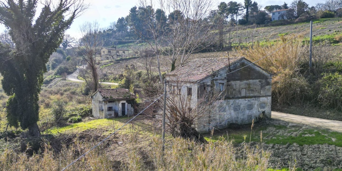 Ancona Campagna Montegalluzzo, 240, 3 Camere Camere, ,1 BagnoBagni,Rustico/Casale,In Vendita,Montegalluzzo,1104