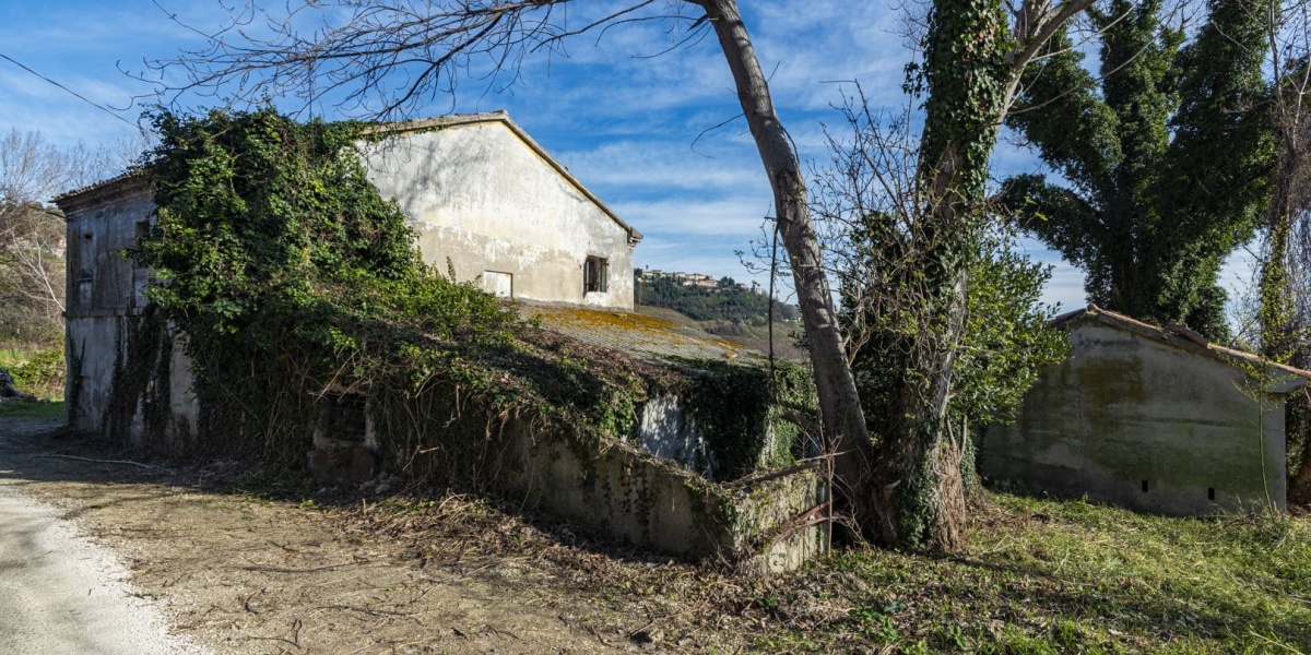 Ancona Campagna Montegalluzzo, 240, 3 Camere Camere, ,1 BagnoBagni,Rustico/Casale,In Vendita,Montegalluzzo,1104